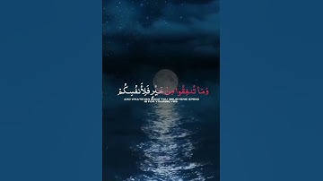 سورة البقرة اية 272