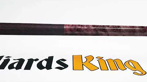 McDermott GS09 Pool Cue Stick - Cue View 360 - 4K Ultra HD Rotating 360 Degree Pan & Zoom