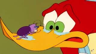 Homer Yelled At Woody And Made Him Cry