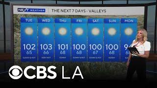 Evelyn Taft s NEXT Weather Forecast Aug 17