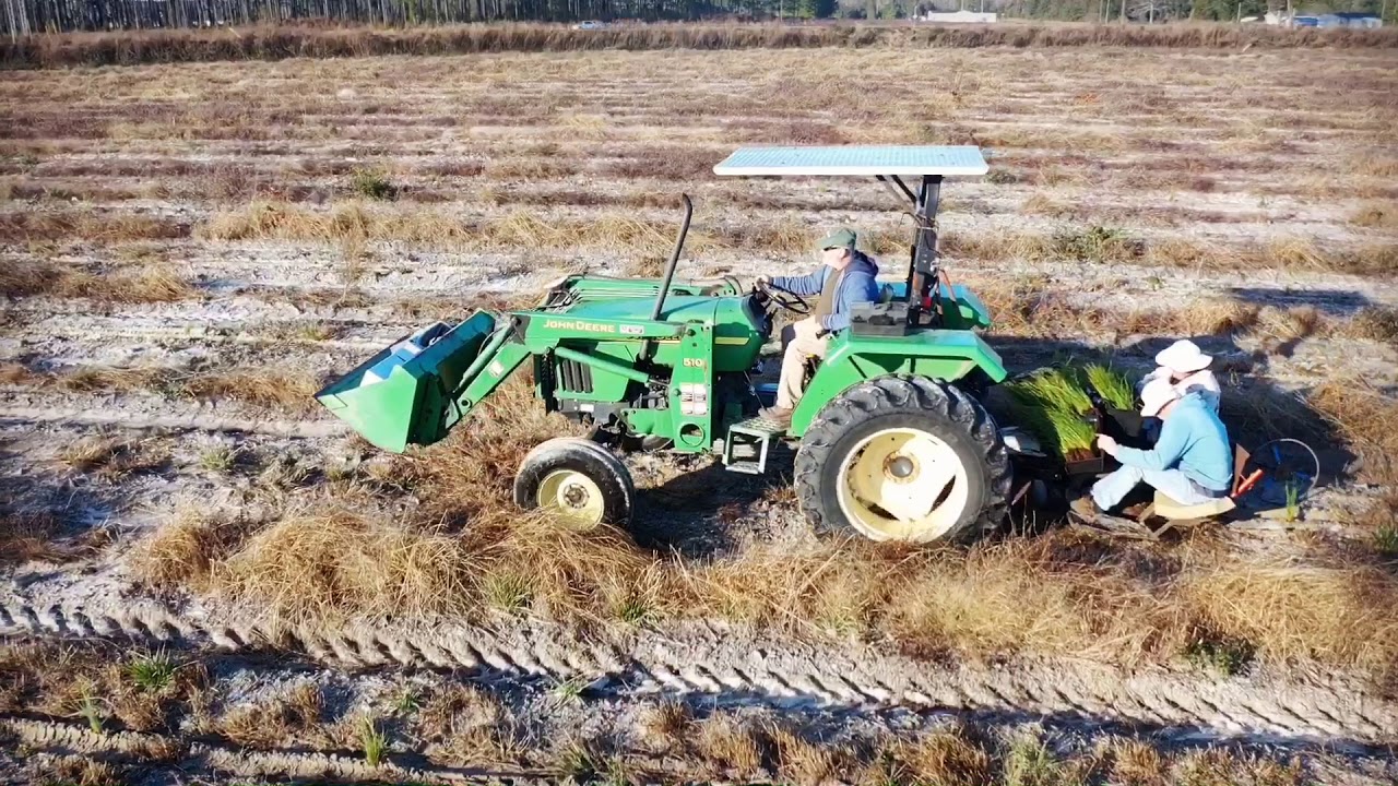 DJI Mavic Pro 2 - Planting Pine Trees