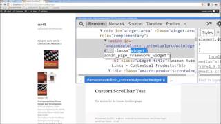 WordPress Custom Scrollbar Plugin Demo