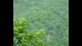 green route.3gp