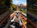 A Dog’s Day at the Park: High-Speed Adventure• Beyond Park: Mr. Jacob’s Unforgettable Rollercoaster 