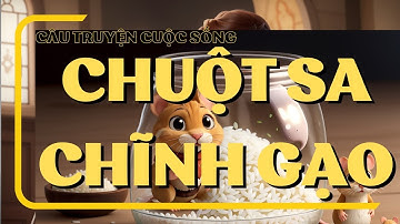 Bài học về sự cẩn trọng trong cuộc sống - Chuột sa chĩnh gạo - Quà tặng cuộc sống Anime