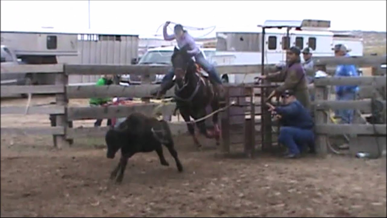 breakaway roping sled breakaway roping sled