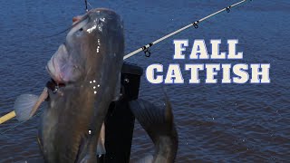 How to Catch Catfish in Fall - (3 Easy Tips You MUST KNOW!!) PLUS! - How to CLEAN Catfish!