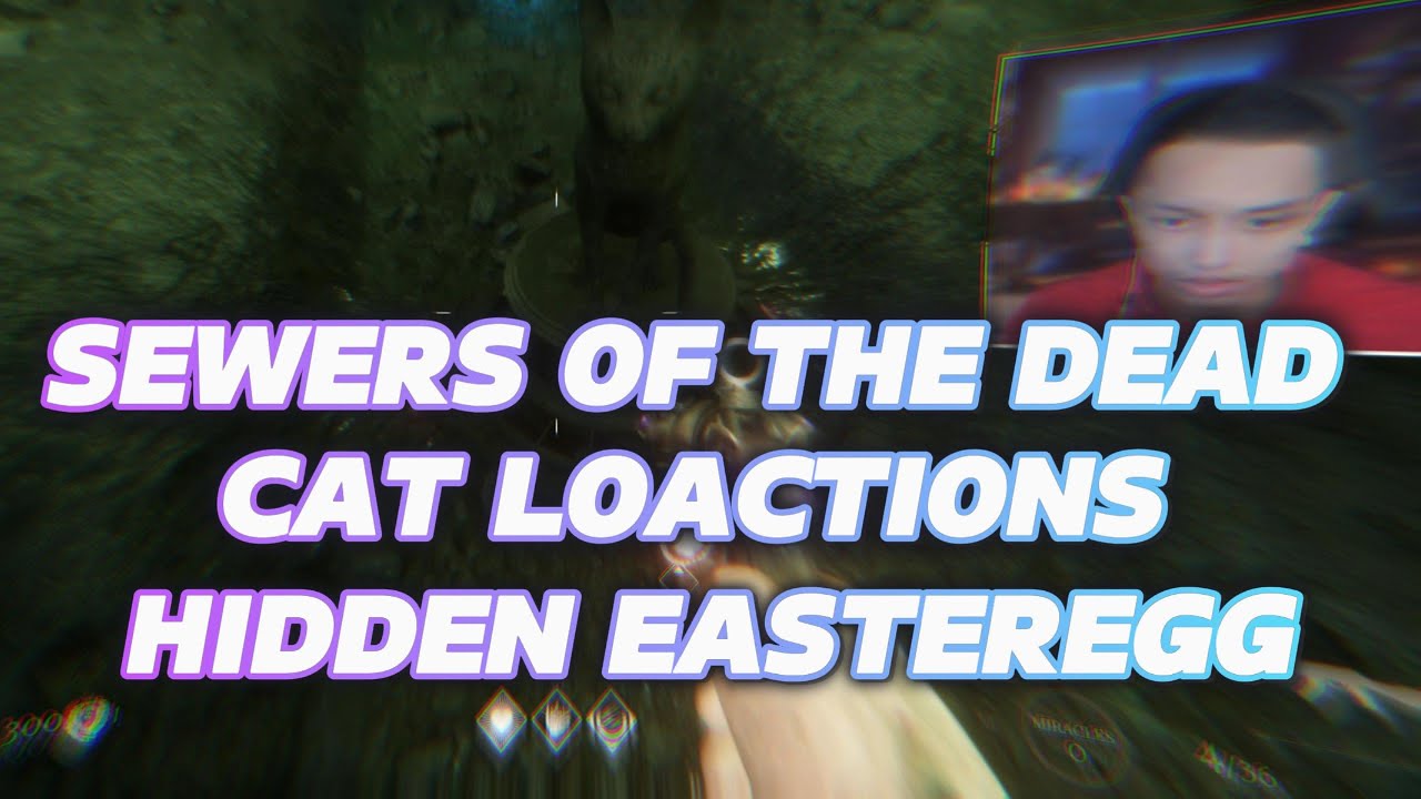 The Ultimate Guide to "Sker Ritual Sewers of The Dead Cat Locations"