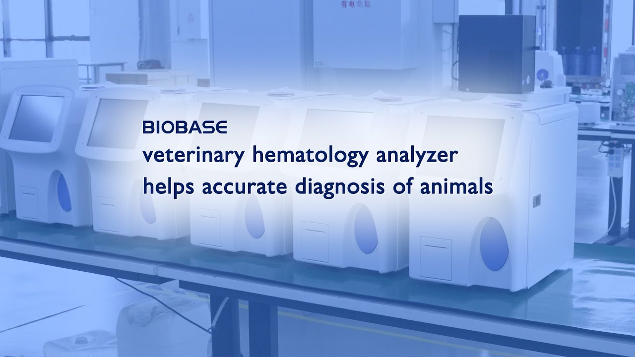 BIOBASE veterinary hematology analyzer helps accurate diagnosis of animals