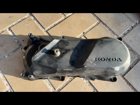 確認用☆クリーマー Amazon | バイクパーツセンター(Bike Parts Center) ライブDio