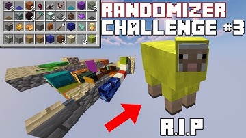Skyblock Randomizer Challenge #3 | HE IS GONE...