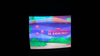 The Spring Chicken Is Coming Opening