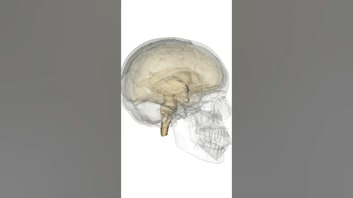 electromagnetic spectrum
