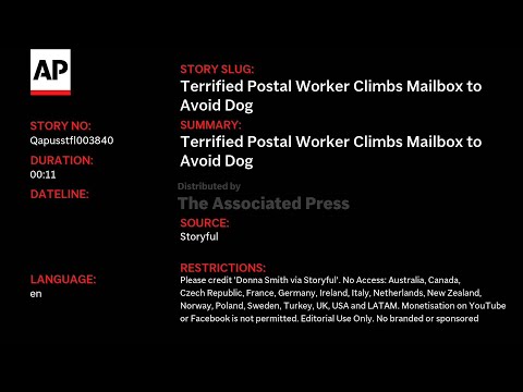 QAUTOHeadlineNR VO Nov 26 21 03 51 IST 2025 Crmoments 