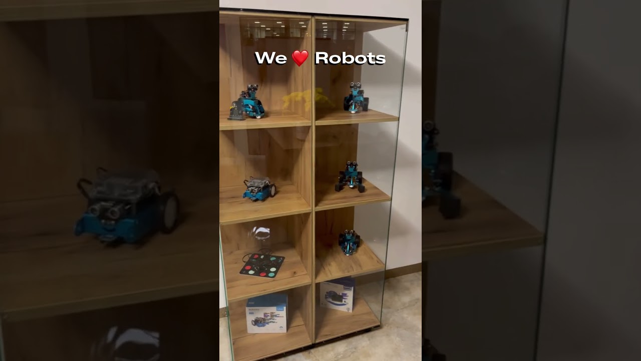 Robotica educativa pentru copii 