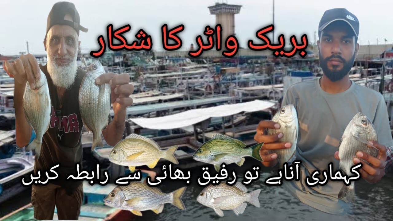 Kemari fishing in Karachi 2025 new video
