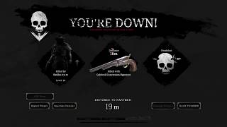 Hunt showdown hacker