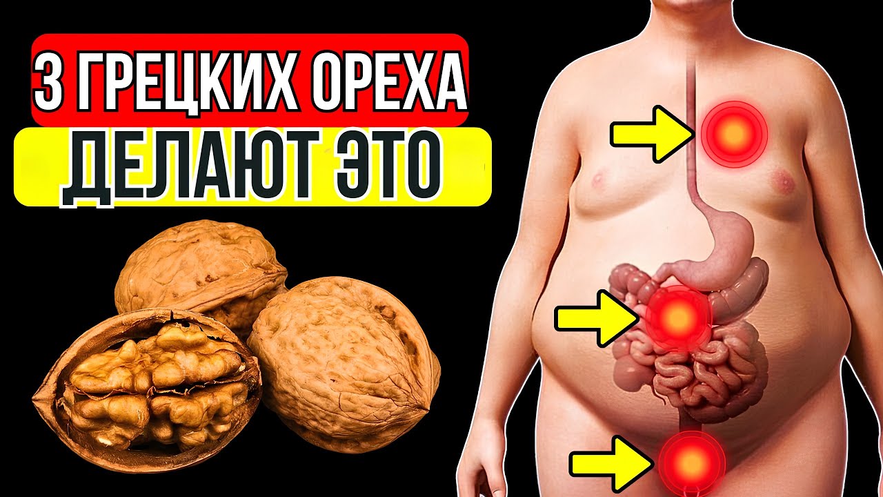 Всего 3 грецких ореха в день сделают вот что с твоим организмом. Это должен знать каждый.