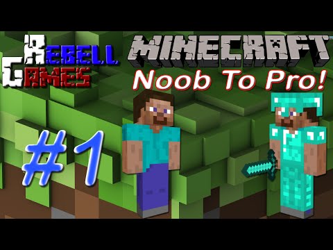 Minecraft: Noob to