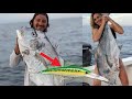 Huge African Pompano on this LURE {catch and cook}