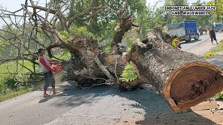 Nail tree!! Cut down dead trees by the side of the road.