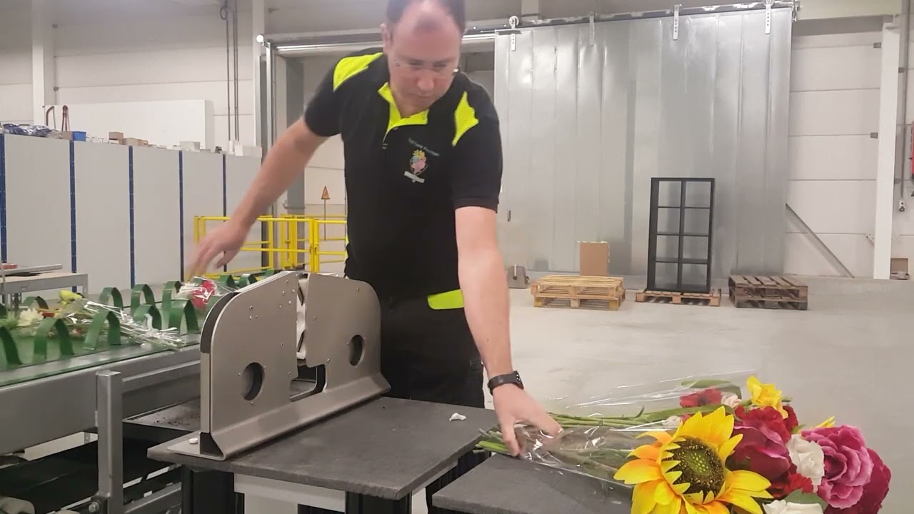 XL Sealer from table to conveyor