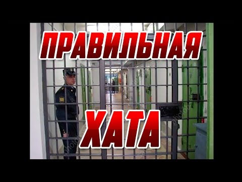 Что такое Правильная хата в Зоне