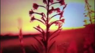 Boulevard-Dan Byrd - by Vanny Vabiola ( lyrics )