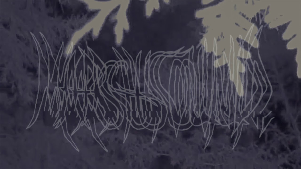 Marsh Sound - Lamplighter