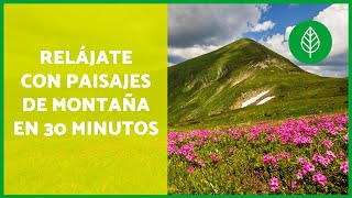 🏔️ Paisajes de montañas en primavera 🌸🌿 30 minutos de naturaleza, paz y música relajante