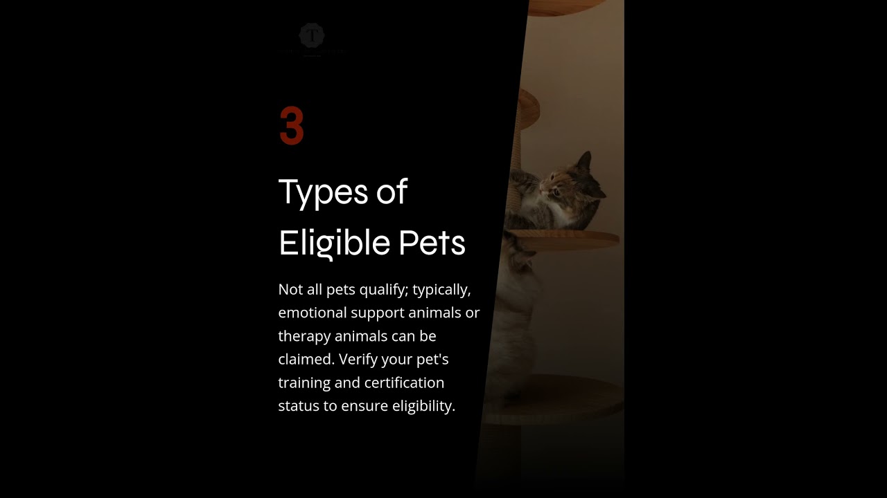 Tips for Claiming Pet Expenses as Wellness Aides at Work