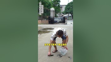 hài tiếng Tày Nùng Trung Quốc p4