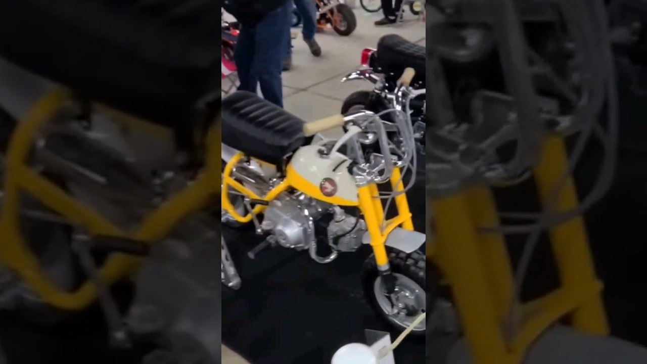 Mini Bikes Taking Over 