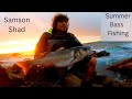 Summer bass fishing with lures 2022  the samson shad part 1