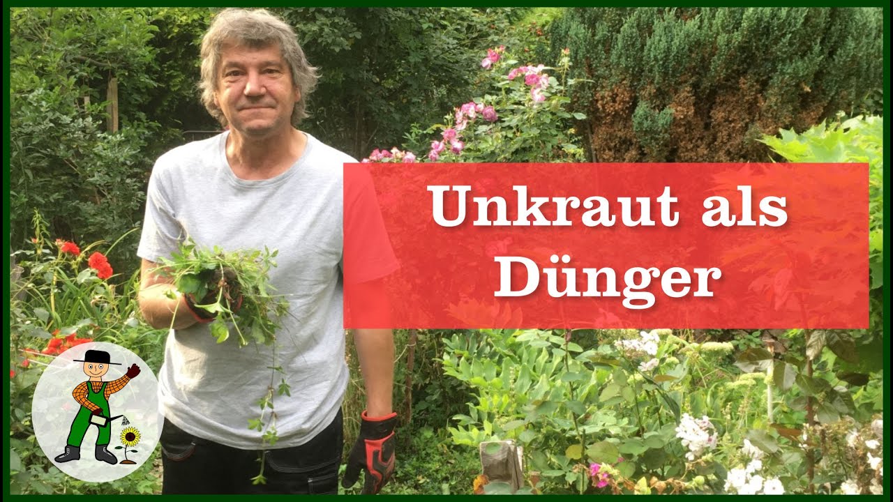 uses of cow dung Cow Dung Manure, Compost & Fertilizer For Plants main image 1