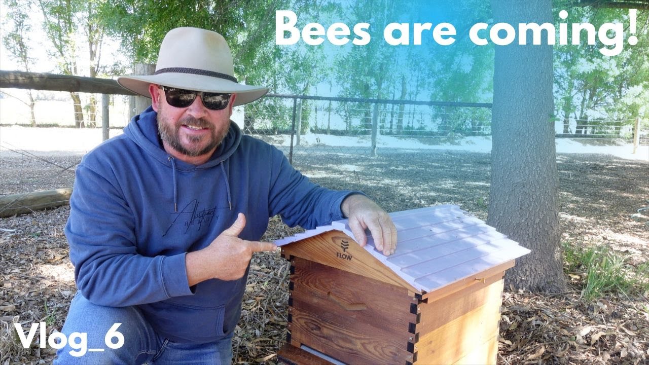 We have a solution for our bees! - YouTube