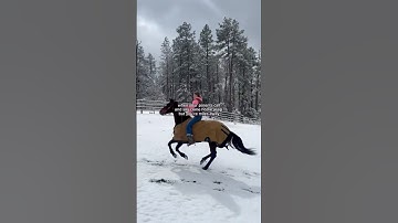 time to get going #horseriding #horsegirl #westernhorse #horseblanket #winter #snow #relatable