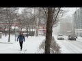  toronto live  snowfall in toronto february 15 2024
