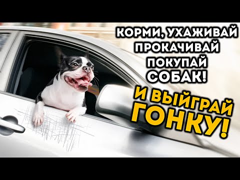 КОРМИ УХАЖИВАЙ ПРОКАЧИВАЙ ПОКУПАЙ СОБАК! И ВЫЙГРАЙ ГОНКУ! - Dog Sled Saga