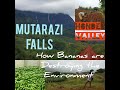 THE GREENEST PART OF ZIMBABWE | Mutarazi Falls | Honde Valley | Banana Farming vs The Environment