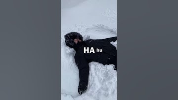 Thumbnail of When Metalheads Make Snow Angels