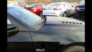 2013 Mustang @ RC Lacy in Catskill NY