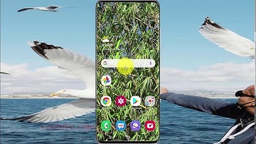Samsung Galaxy S20 : How to add show layout bounds in quick settings developer tiles (Android 10)