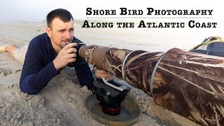 Shore Bird Photography Along the New Jersey Coastline | Homemade Ground Pod