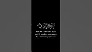 كرومات سوداء _ أحمد شكيو _ سورة النجم #تلاوات #قران_كريم #فيه_شفاء_للناس