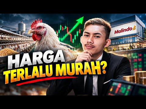 SAHAM ROE 16% DAN DEVIDEN 7,8% INI DIHARGAI MURAH OLEH PASAR, ADA APA DENGAN EMITEN MAIN?