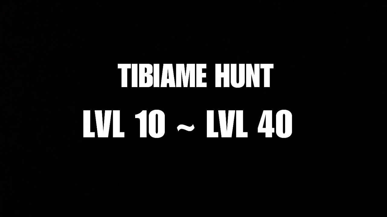 TibiaME | Best hunting places for LVL 10 ~ LVL 40 