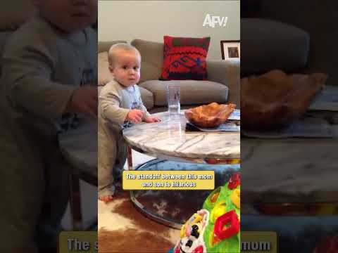 The standoff between this mom and son is hilarious 1 The standoff between this mom and son is hilarious