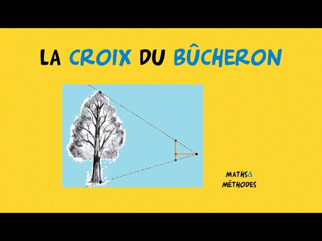 Protocole de mesure des hauteurs avec un dendromètre. La distance