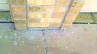 Walkway Sidewalk Caulking